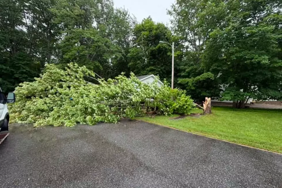 Milford storm damage, Jannelle Russell