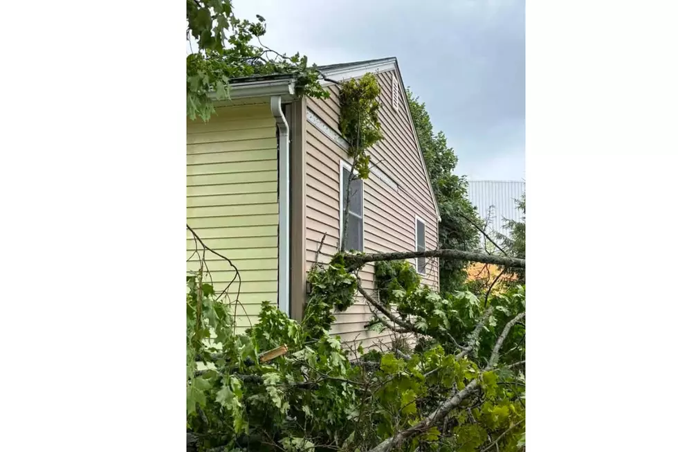Brewer storm damage, Nancy DeCesere