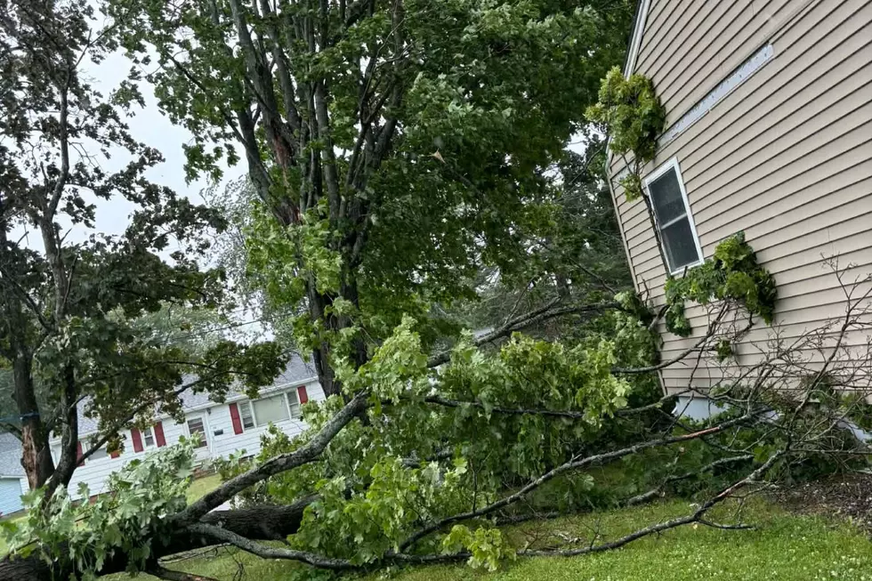 Brewer storm damage, Nancy DeCesere