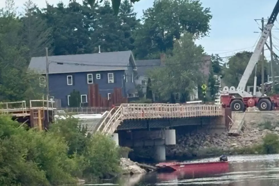 Old Town Bridge Collapse, Cori Skall