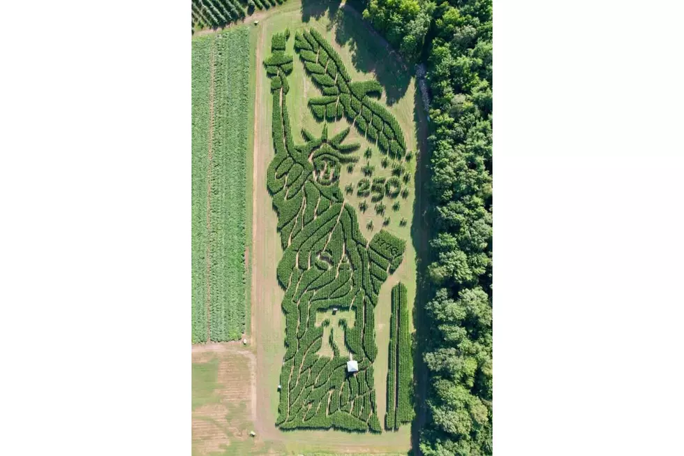 2026 Statue of Liberty Corn Maze, Treworgy Family Orchards via Facebook
