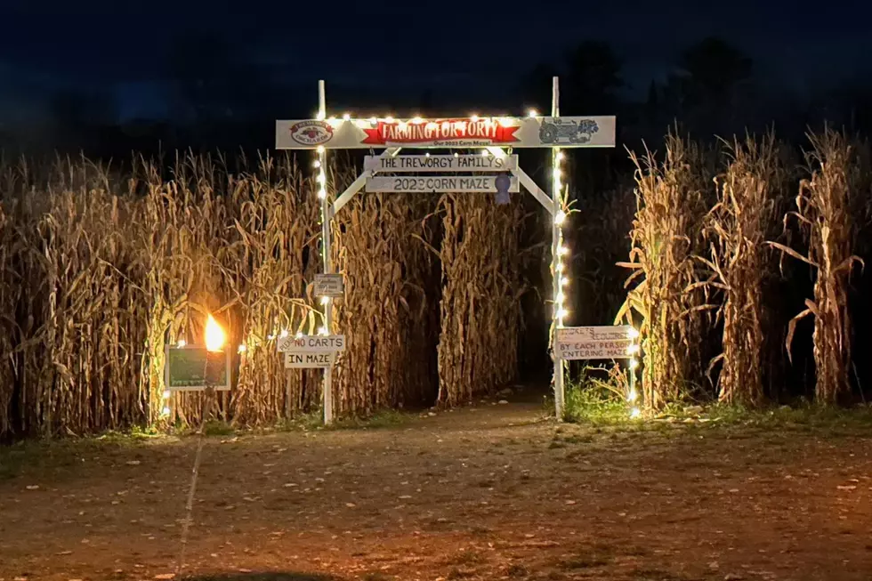 2026 Statue of Liberty Corn Maze, Treworgy Family Orchards via Facebook