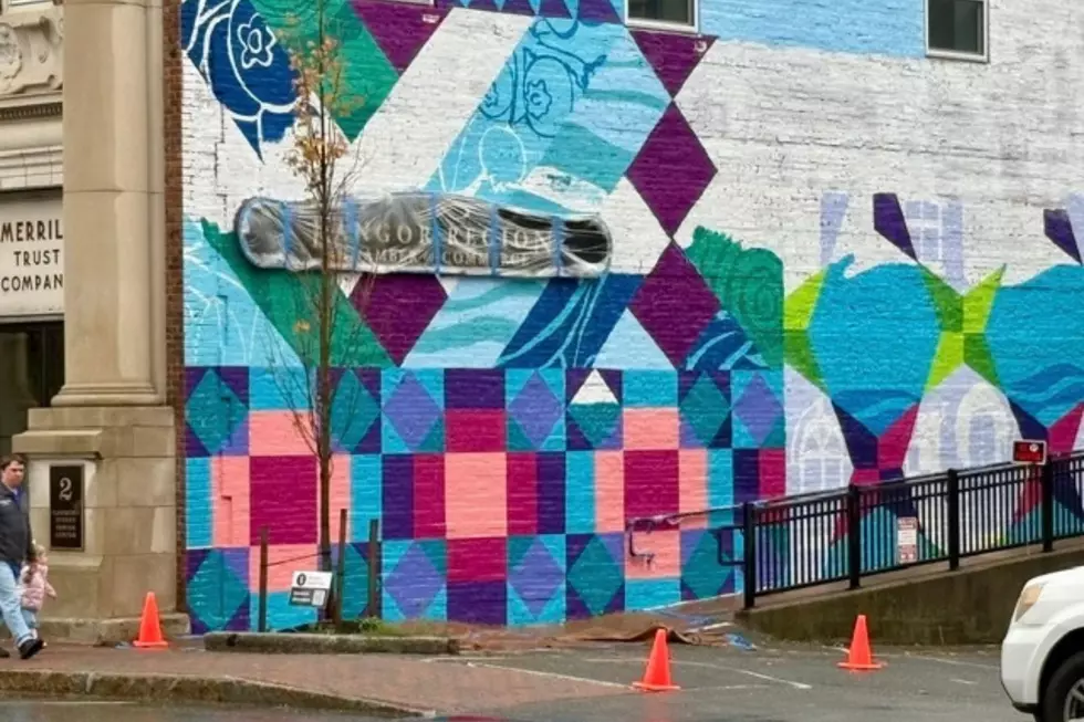 Downtown Bangor Mural, Cori Skall