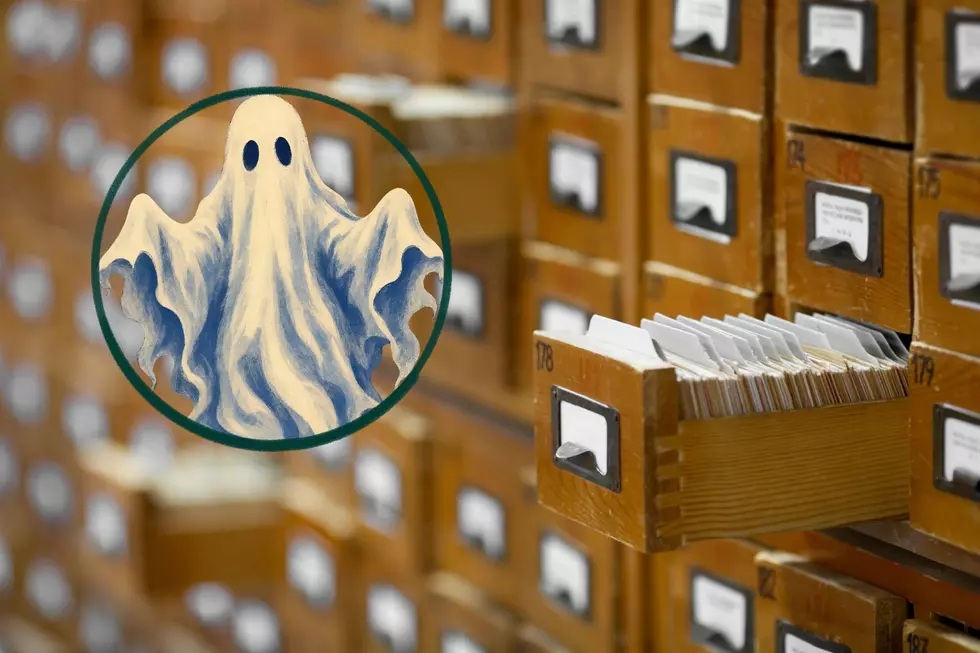 Feel Like Doing A Little Ghost Hunting? You Can Check Out A “Paranormal Investigation Kit” Right From The Old Town Library!