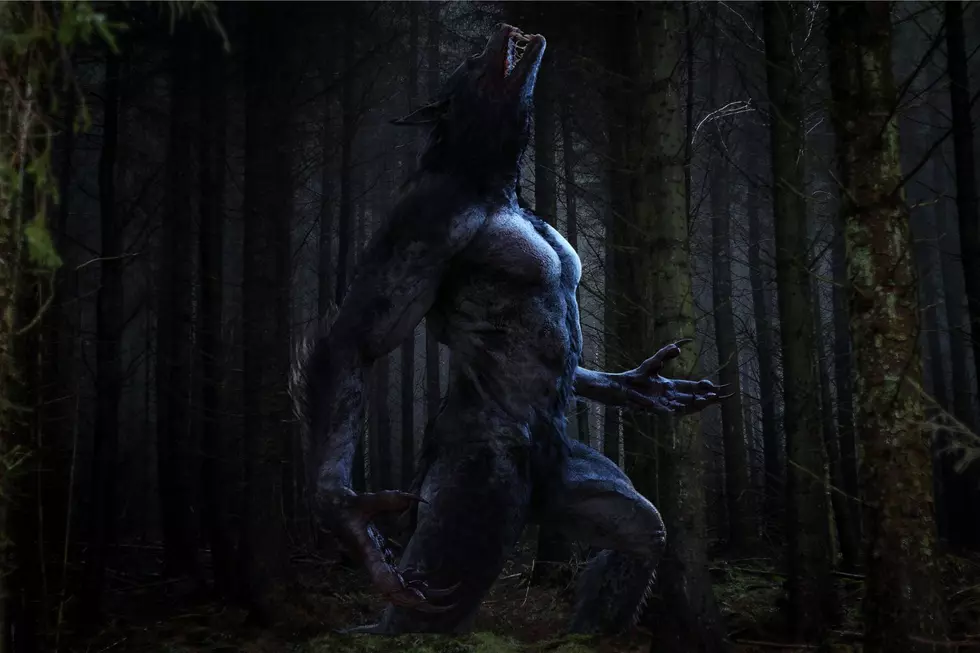 Palmyra Werewolf Incident Left Scratches On Roof And Dug Up Grounds