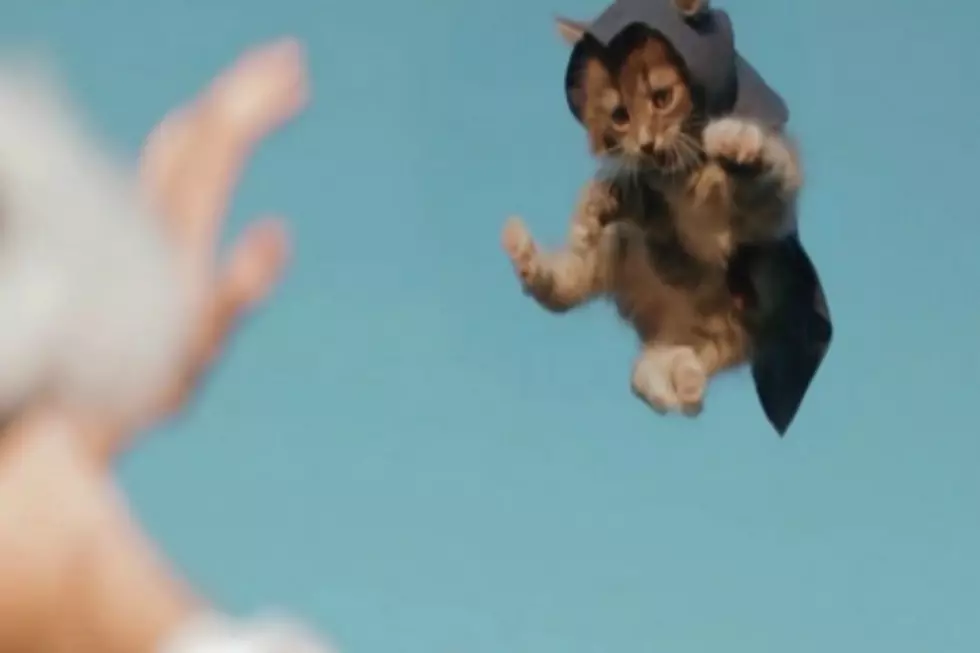Assassin’s Kittens Unity Video Puts the Purrfect Kill on Paws