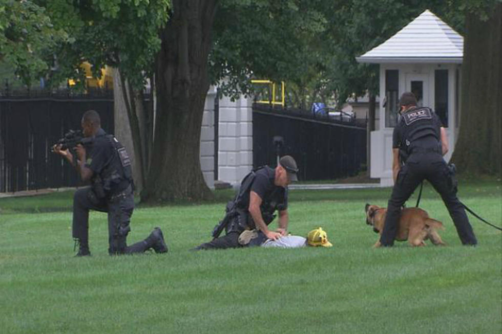 Man in Pikachu Regalia Apprehended after Jumping White House Fence