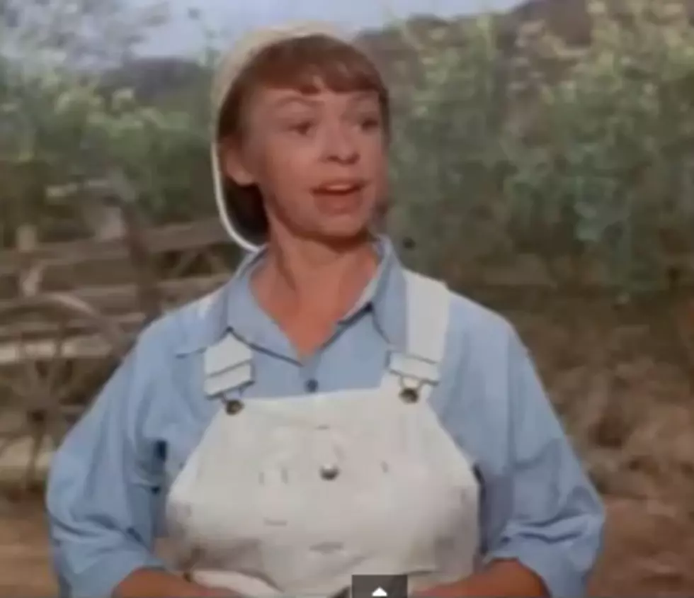 Co-Star of TV&#8217;s &#8220;Green Acres&#8221; Dies at 89.  Was Born in Upstate New York!