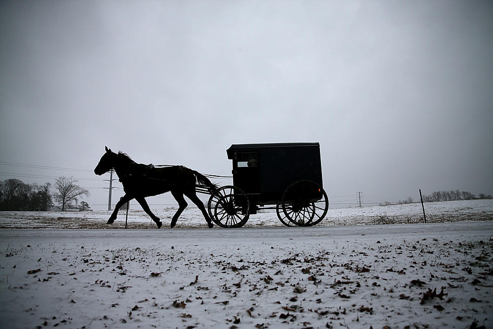 PA Police Seek Amish Buggy in Hit and Run Incident
