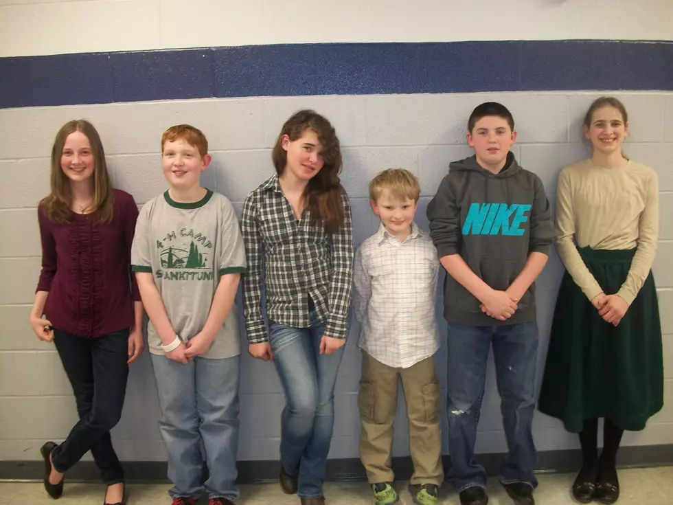 Delaware County 4-H District Presenters Bring Home Awards