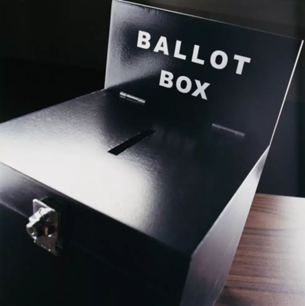 Absentee Ballots Now Available for Oneonta School Elections