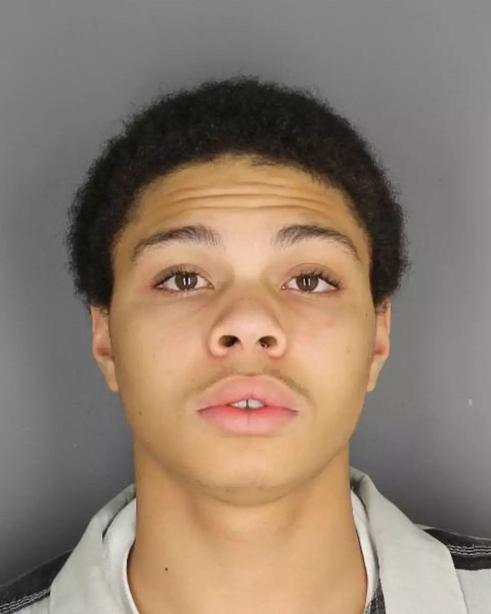 17-Year Old Oneonta Male Charged with Four Felonies