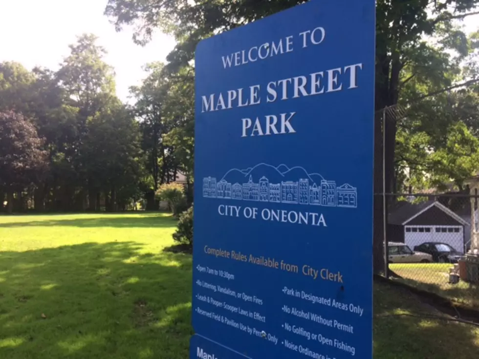 Oneonta Park to Celebrate 25th Anniversary on September 2