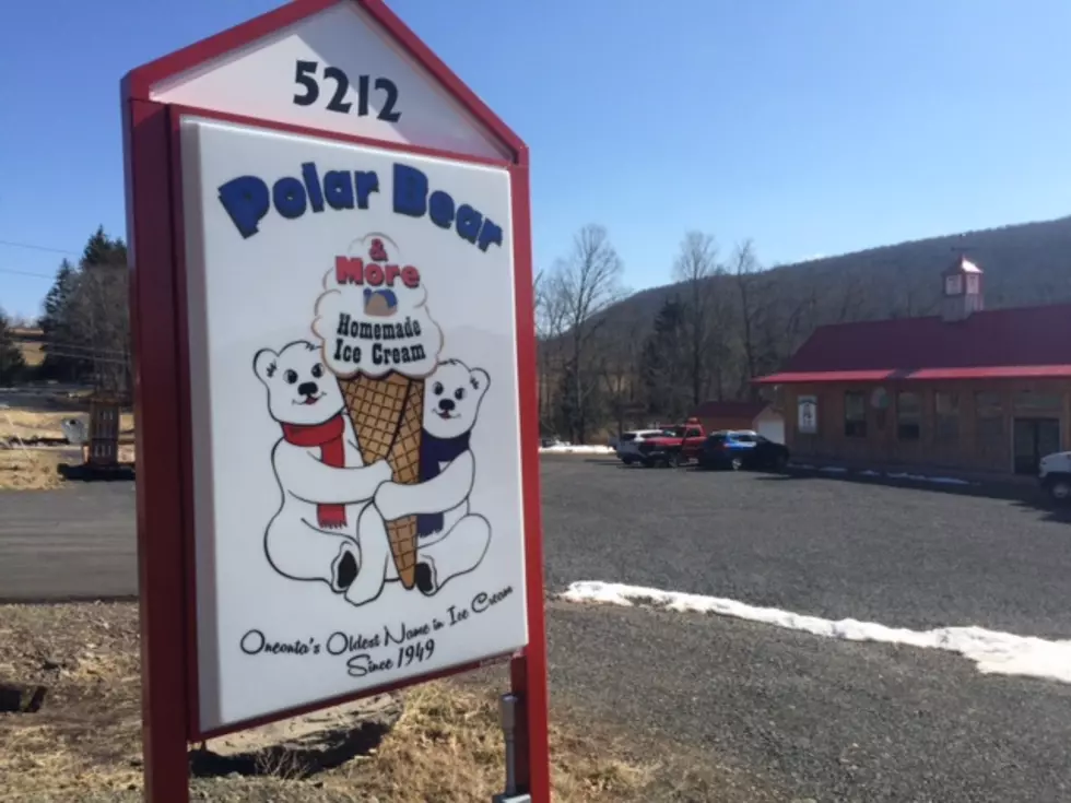 Polar Bear Ice Cream….Making a Comeback One Scoop at a Time!