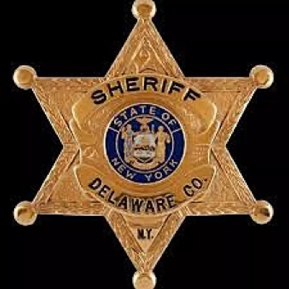 Gilboa Man Accused of Trying to Outrun Authorities in Delaware County