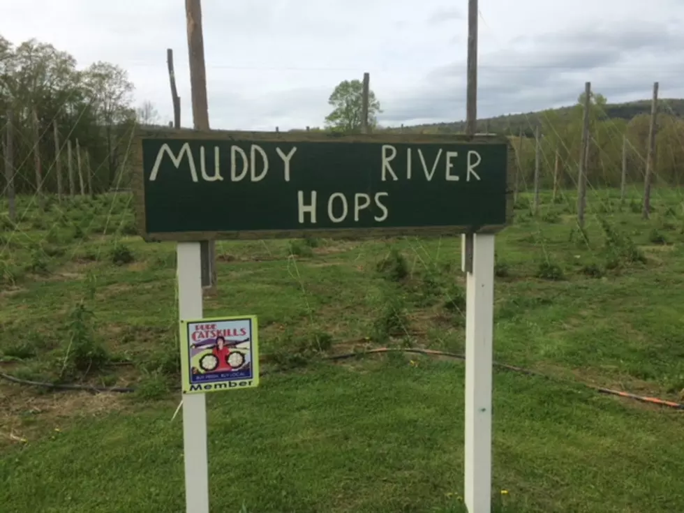 Muddy River Farm Brewery Now Open in Unadilla