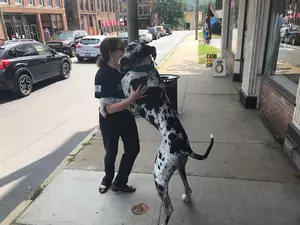 Big Chuck Asks: &#8220;Is This the Biggest Dog in Oneonta?&#8221;