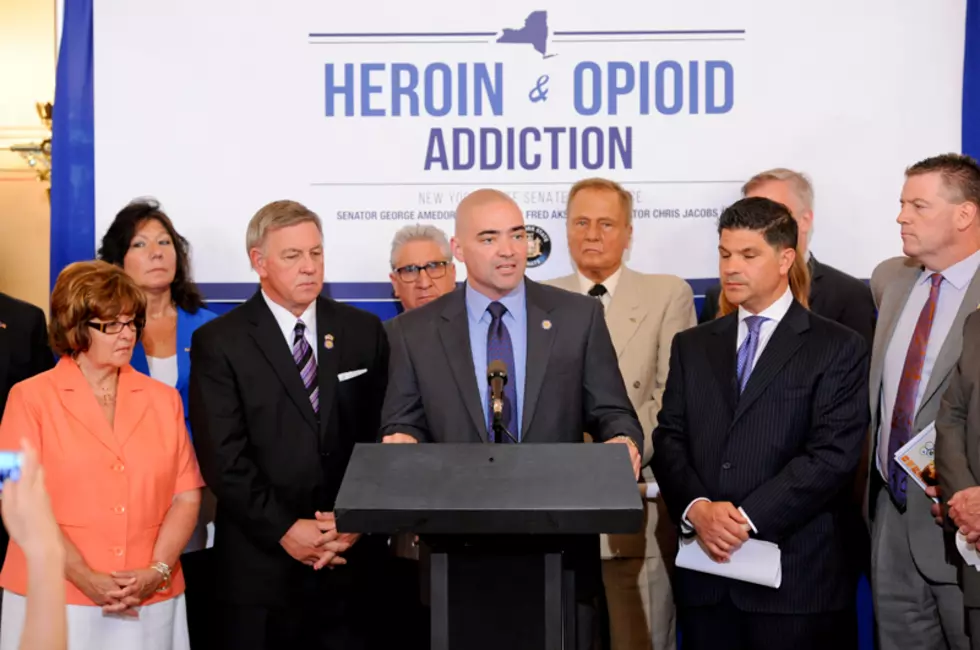 Senate Task Force on Heroin and Opioid Addiction Releases Report