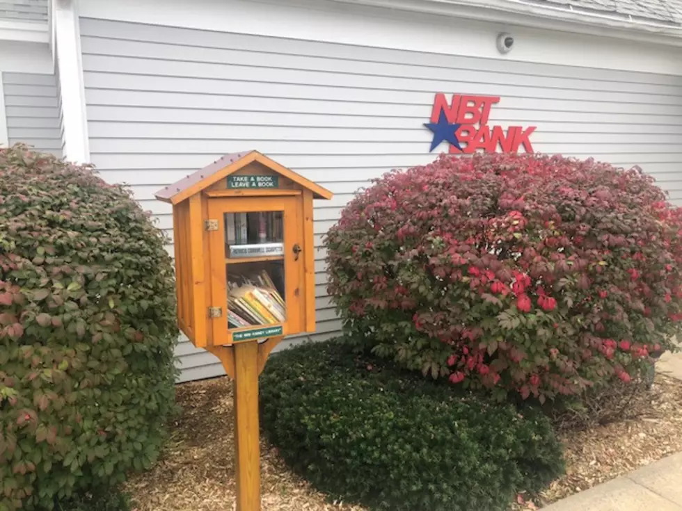 Todd Bol, Founder of “Little Libraries,” Dies.  Have You Seen One of His Libraries?