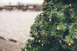 Oneonta Christmas Tree Lighting Festivities Thursday, Dec. 6