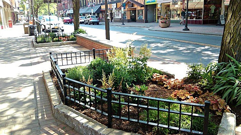 Oneonta To Launch Round 2 of Downtown Improvement Fund