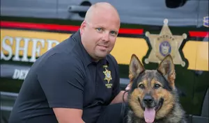 Delaware County Sheriff&#8217;s Mourn Passing of K-9 Hero &#8220;Ozzie&#8221;