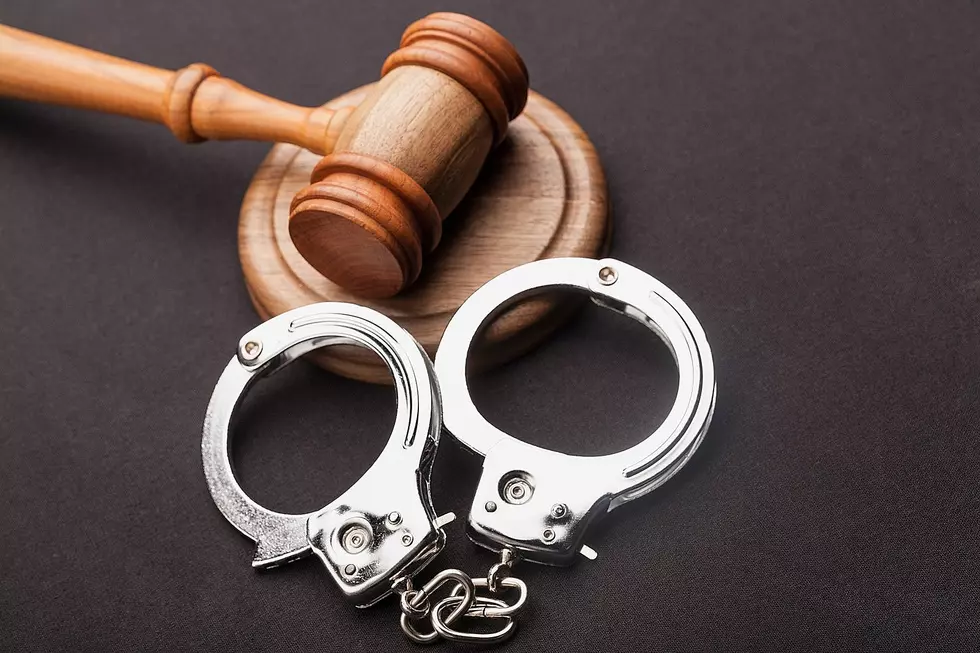 South New Berlin Man Charged With Shooting Pig With Pellet Gun