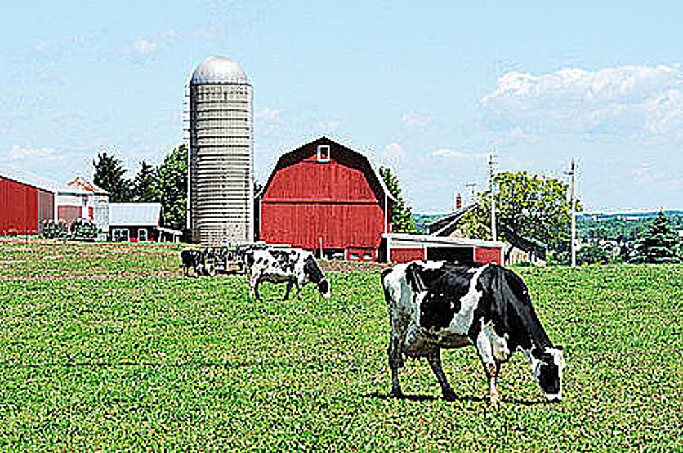 Family Farm Day Goes Virtual for 2020 This Saturday