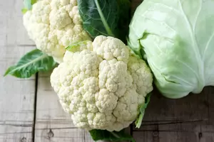 Margaretville Historical Marker Honors Cauliflower Industry