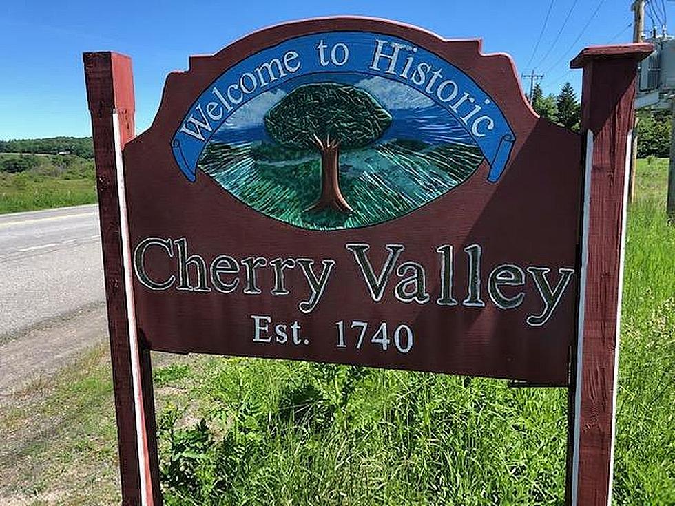 2 Girl Scouts Look to Improve Cherry Valley Playground