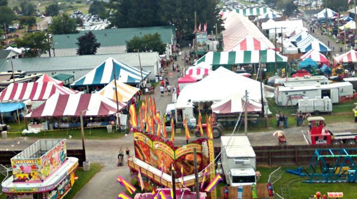It’s Back! The Delaware County Fair is ON For 2021
