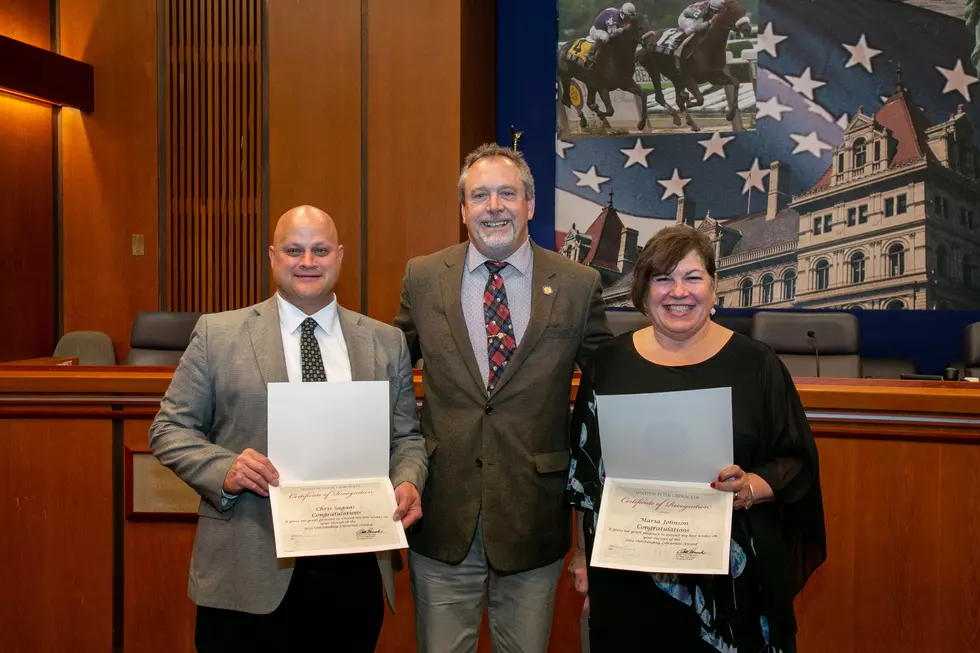 Two Local Librarians Take Center Stage In Albany. Find Out Why...