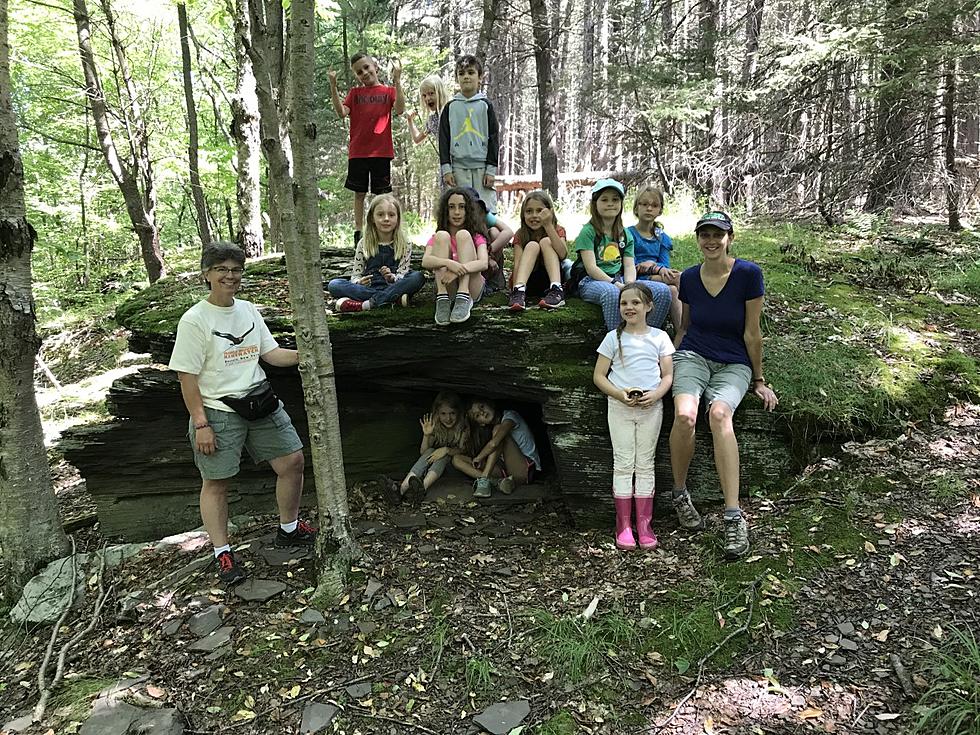 Audubon Summer Camps Return, Bringing Back Fun For Local Kids