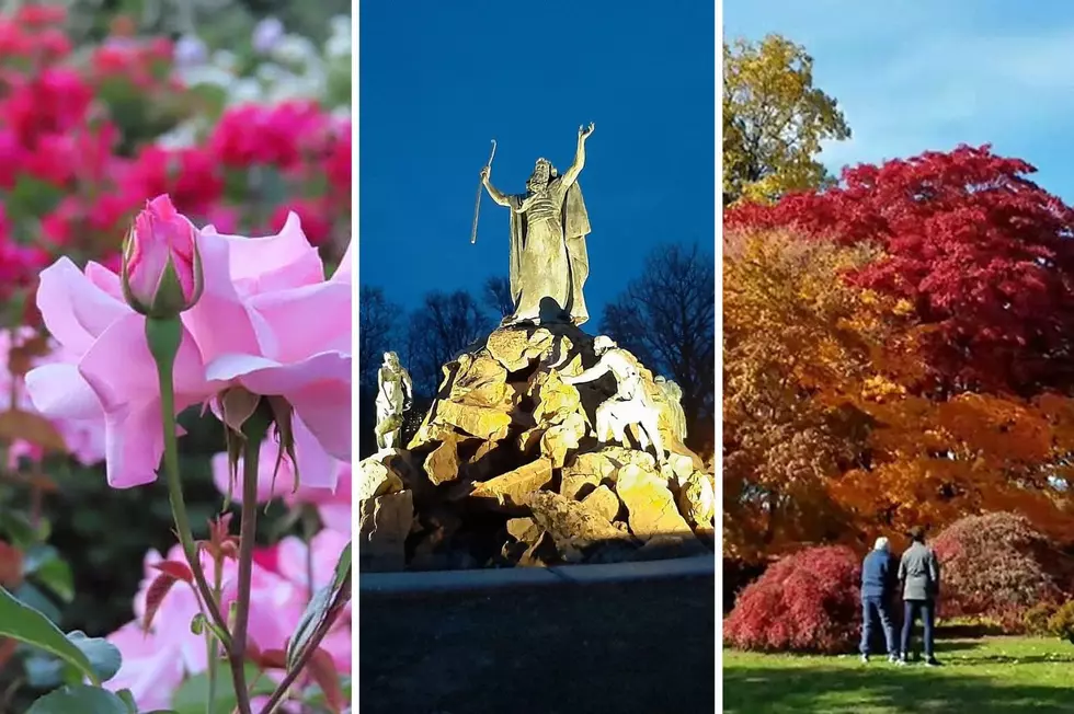 ‘Take a Walk In the Park’ In These 11 Upstate New York Urban Green Spaces