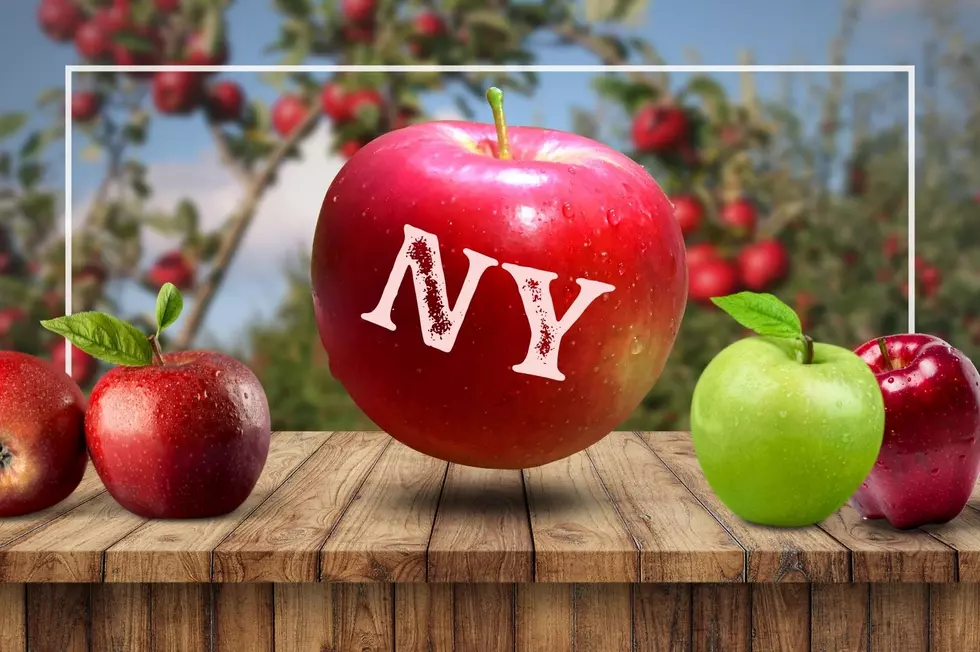 Pick "The Apple of Your Eye" At These Upstate NY Orchards