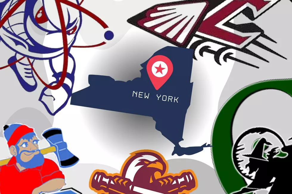 17 Colorful, Odd, and Bizarre Upstate New York School Mascots