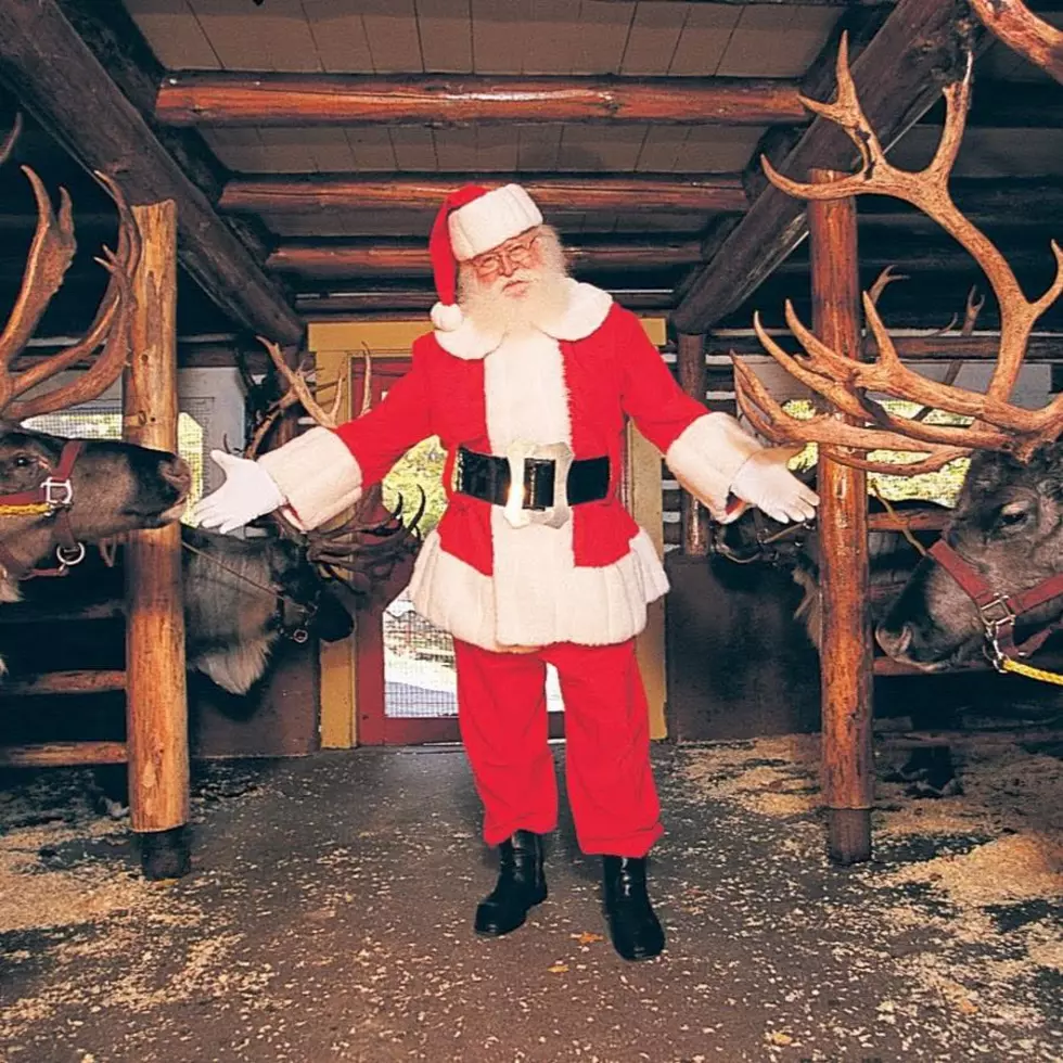 See Live Reindeer and Polar Bears in Upstate New York This Season