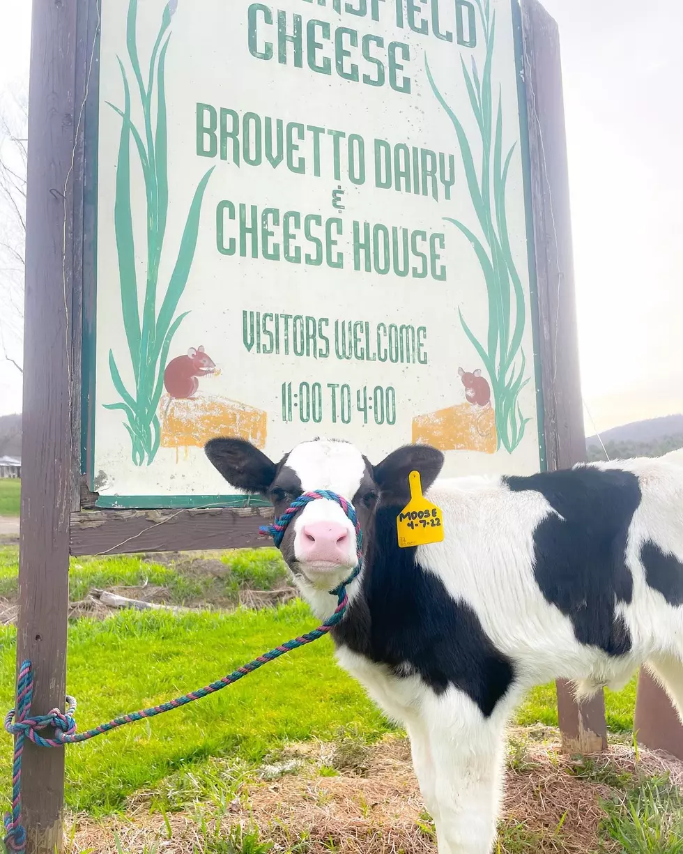 Cadwell's Cheese House, Dewittville, NY