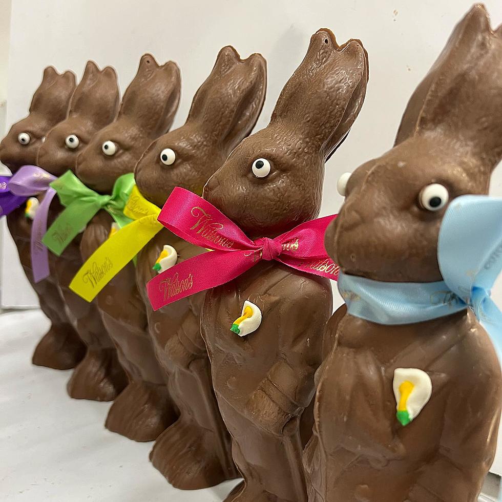 These Upstate New York Chocolate Shops Have Epic Easter Bunnies!