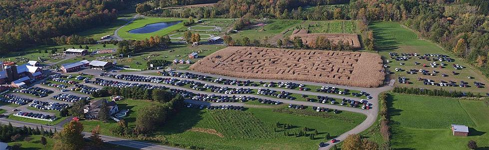 WOW!  Look At These 12 Amazing Corn Mazes in Upstate New York!