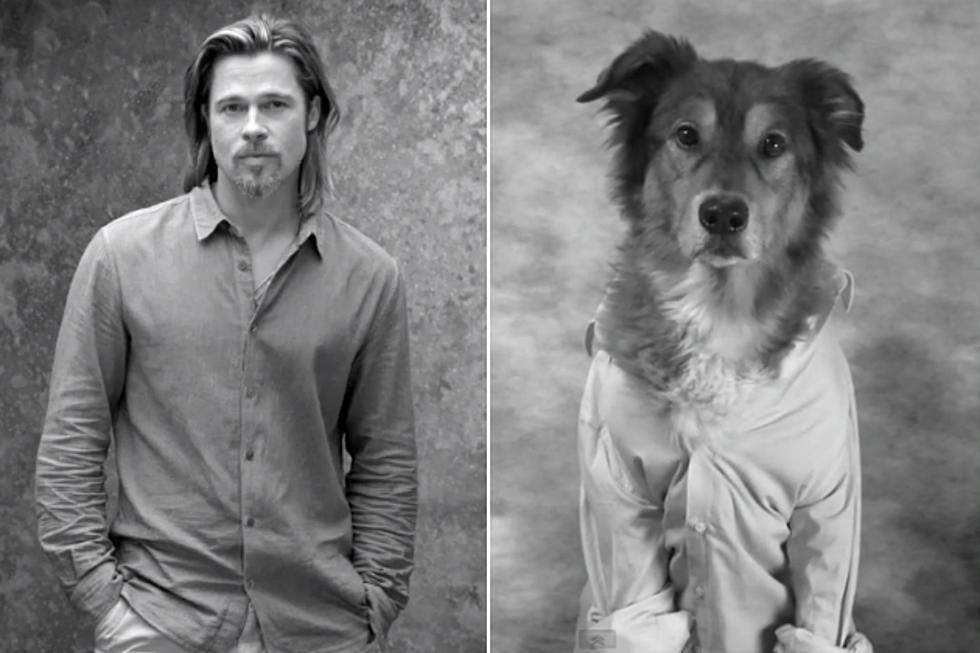 Brad Pitt and Chanel No. 5 Have Gone To the Dogs [VIDEO]