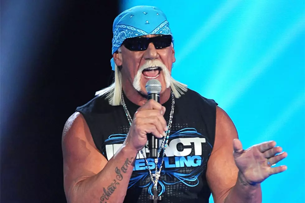 Gawker to Hulk Hogan: It&#8217;s Not Character Assassination if You Pulled the Trigger