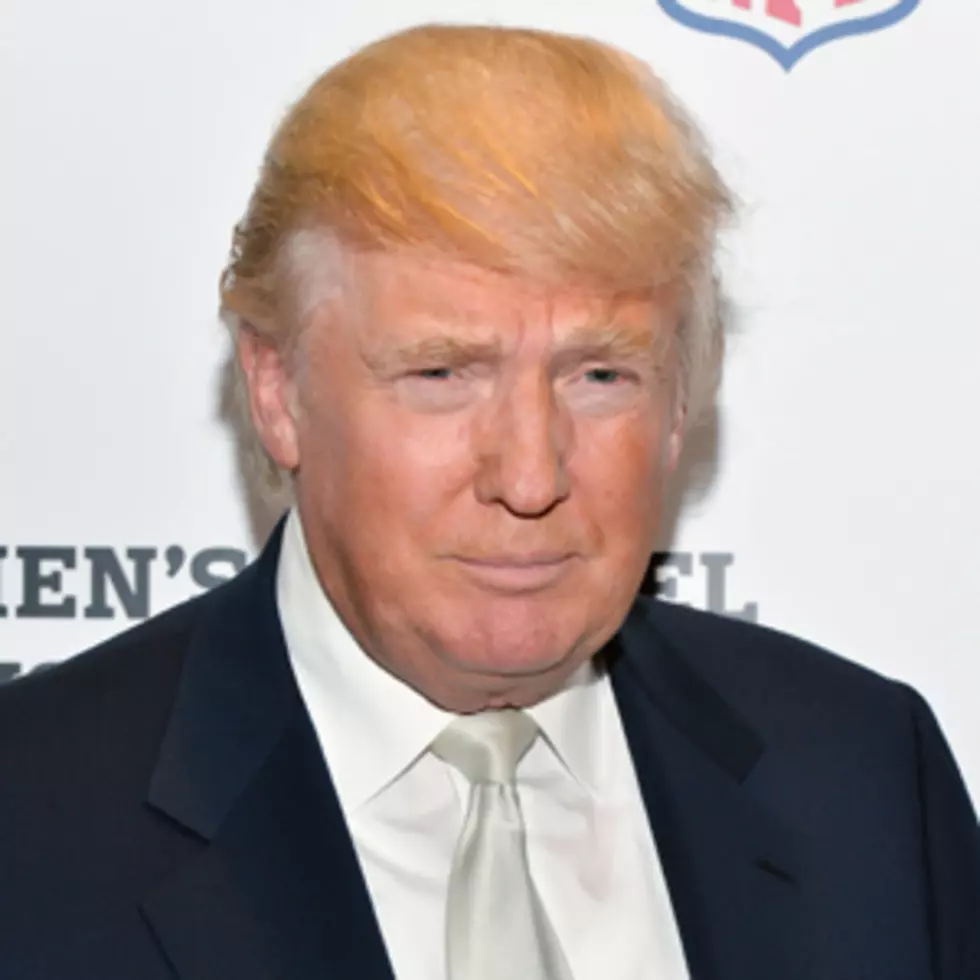 2: The Donald&#8217;s Comb-Over