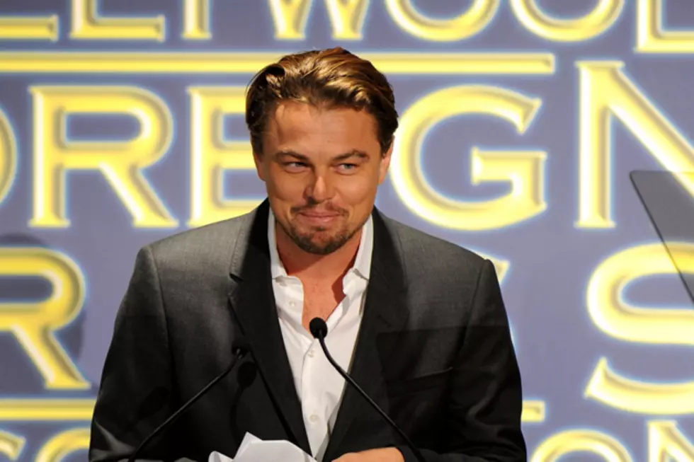 Leonardo DiCaprio Loves Cleaning Out His Poop Chute