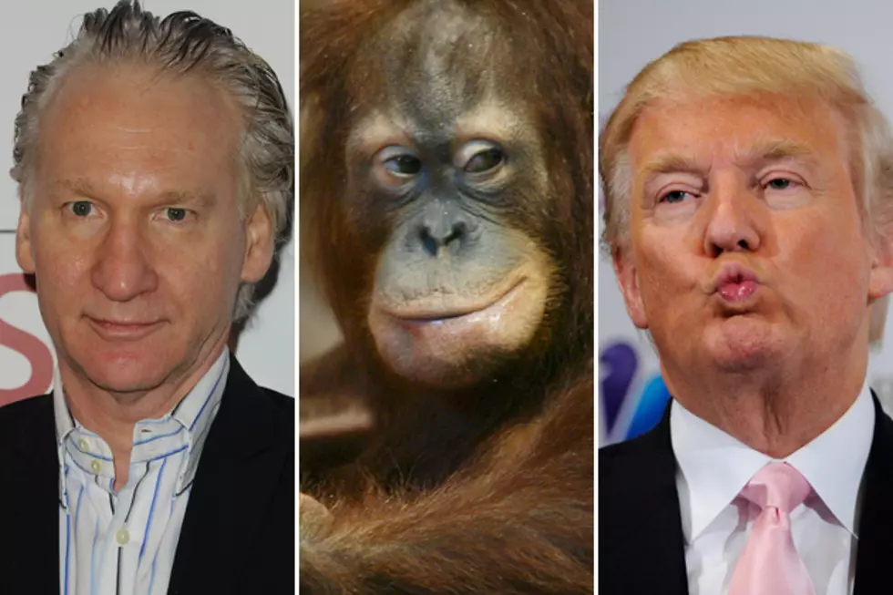 Donald Trump Sues Bill Maher for $5 Million for Insulting Primates Everywhere