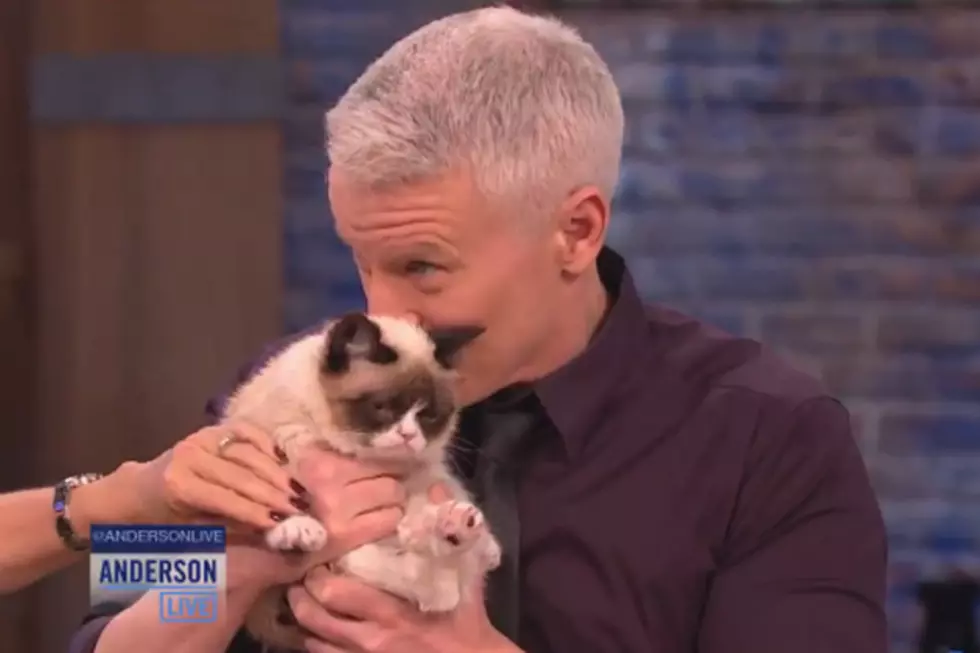 Grumpy Cat Meets Anderson Cooper