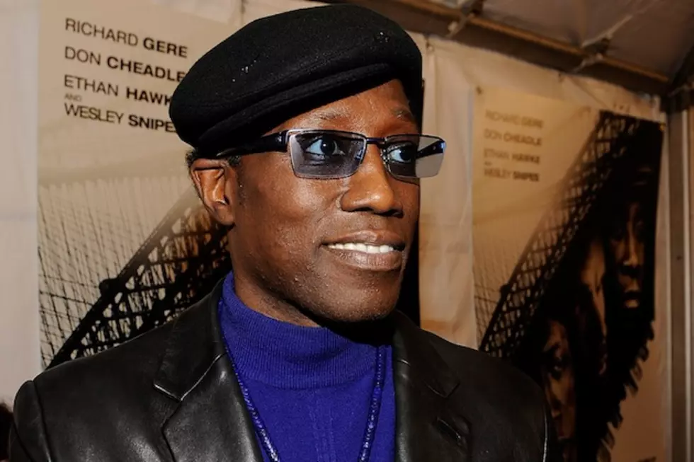 Wesley Snipes Moved From Prison to House Arrest Without Passing Go or Collecting $200
