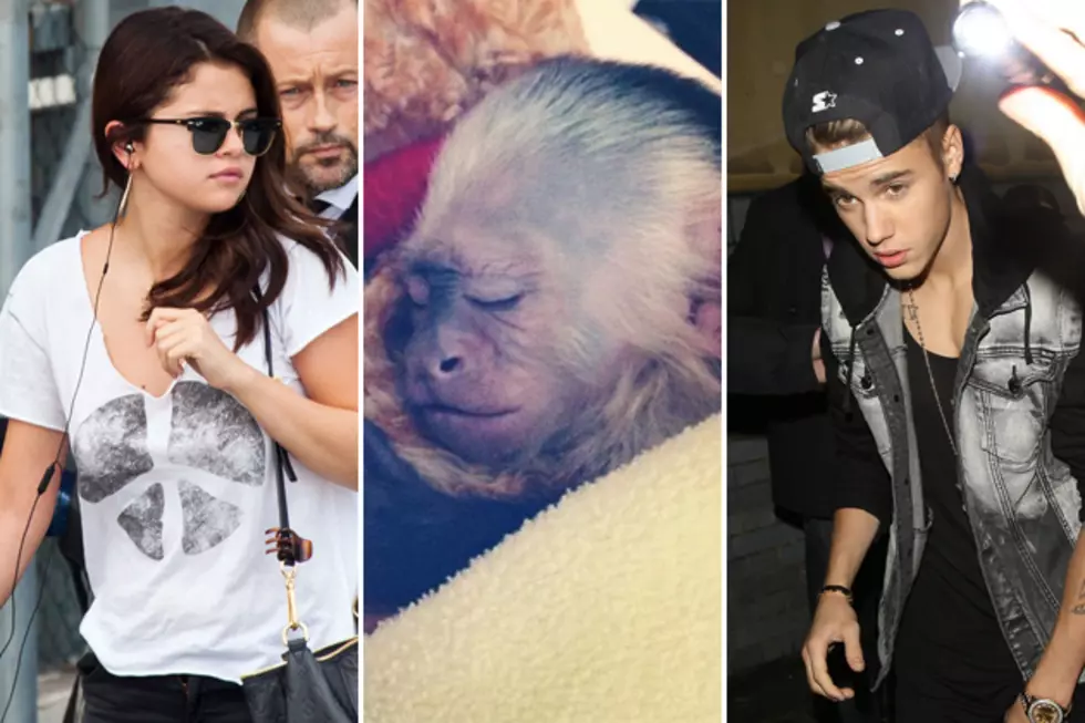 Justin Bieber’s Monkey Is Fine, But He Isn’t. And It’s All Selena Gomez’s Fault.