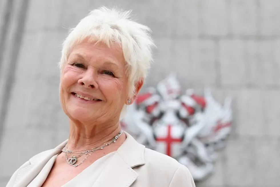 Apparently Dame Judi Dench Makes Naughty Needlepoint in Her Free Time