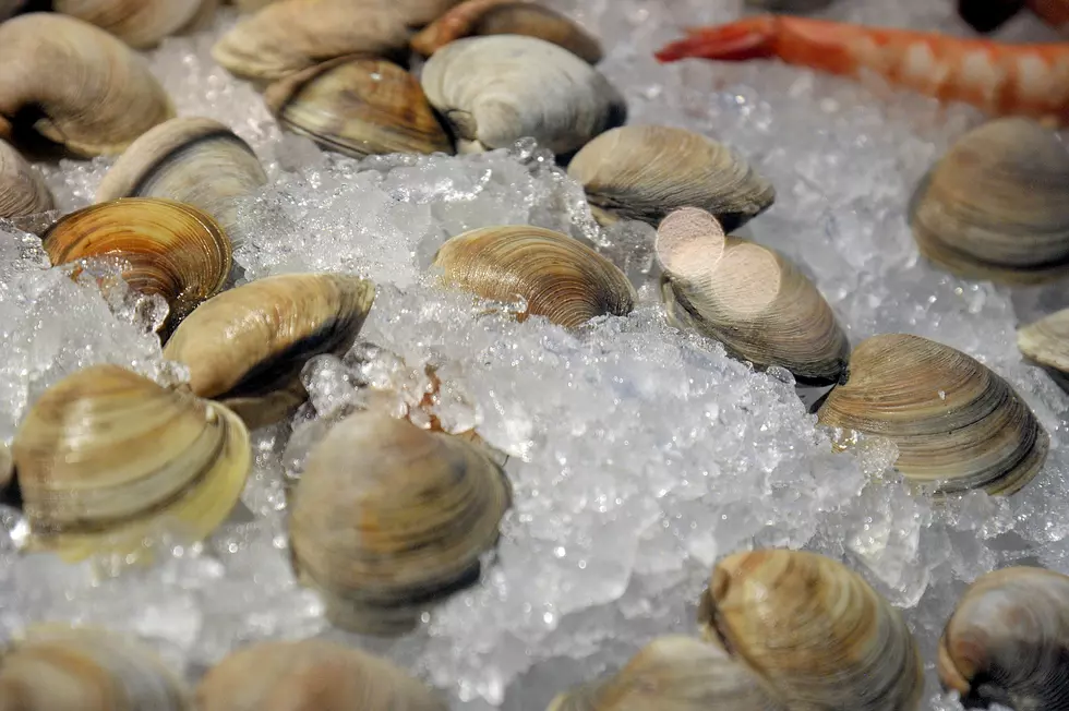 Chowder Recipes Aren’t Just For Clams [VIDEO]